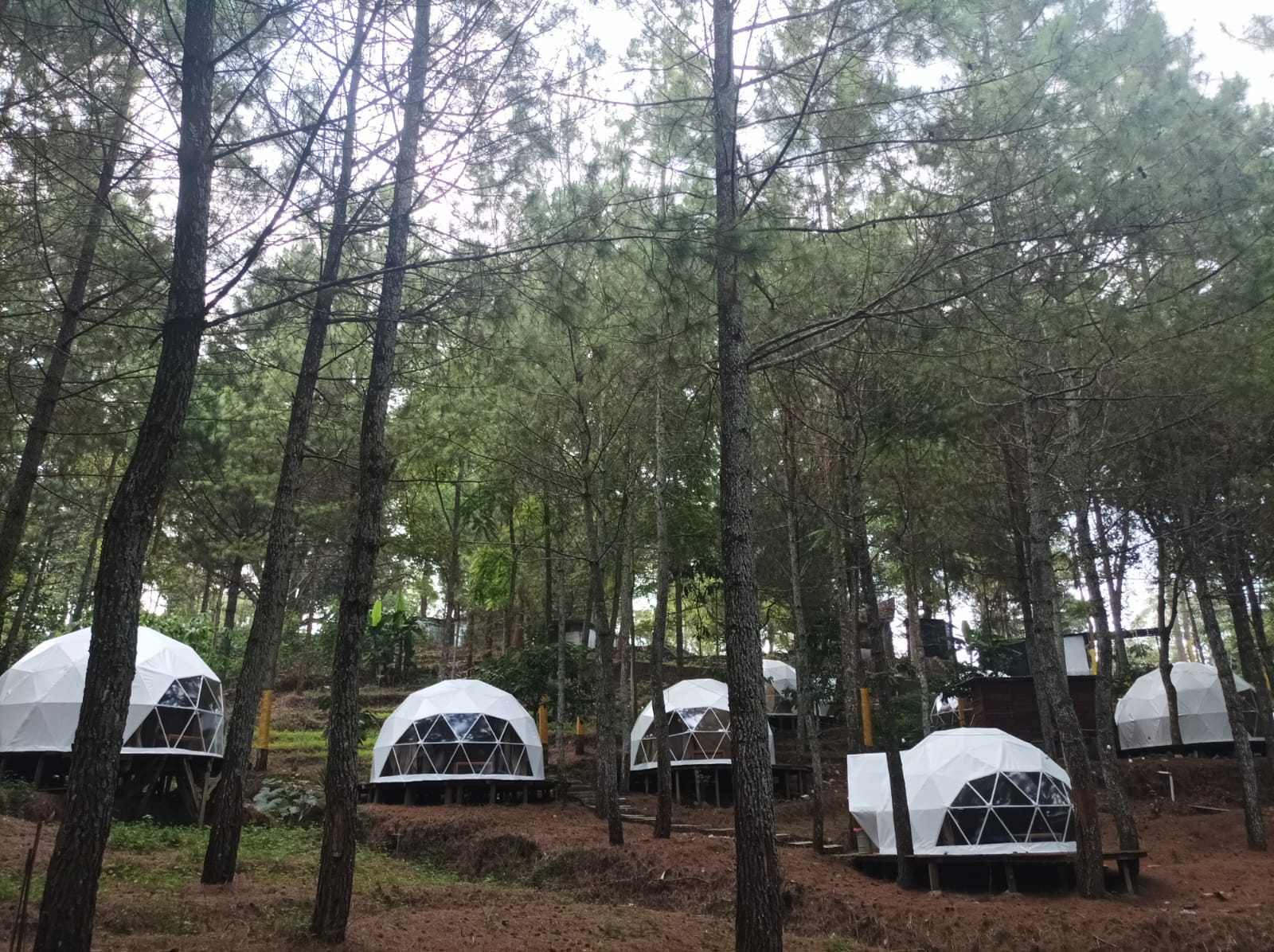 Camping Site